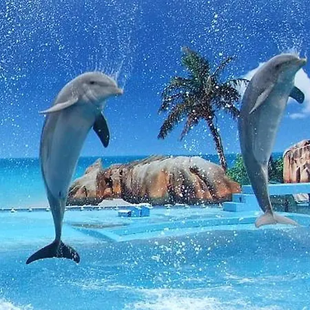 Charming In - 60 M² With Pool & View Апартаменти *