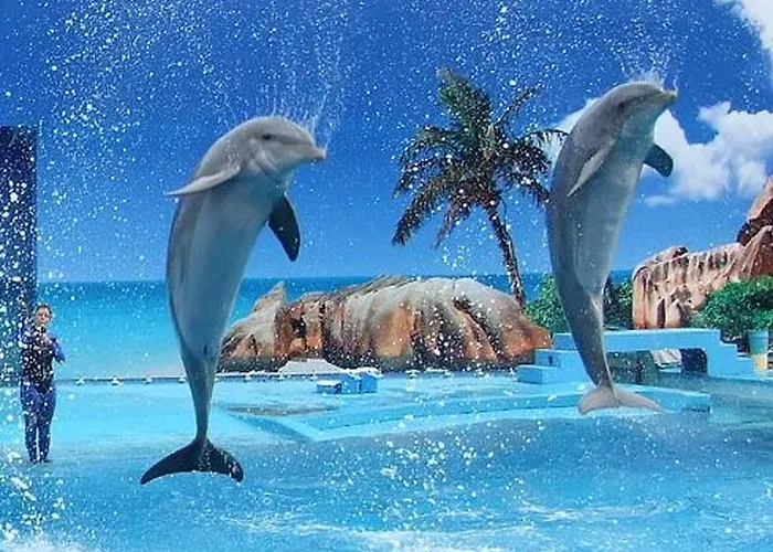 Charming In - 60 M² With Pool & View 公寓 *